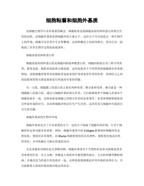 细胞粘着和细胞外基质