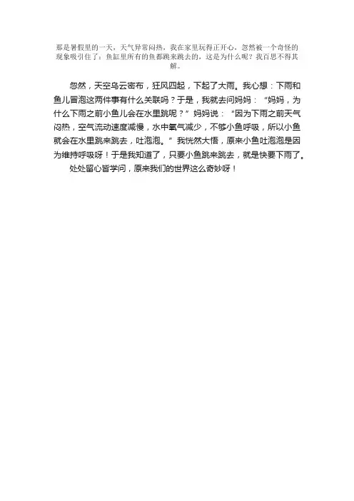 四年级优秀作文：小鱼冒泡的秘密