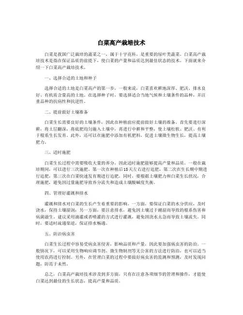 白菜高产栽培技术