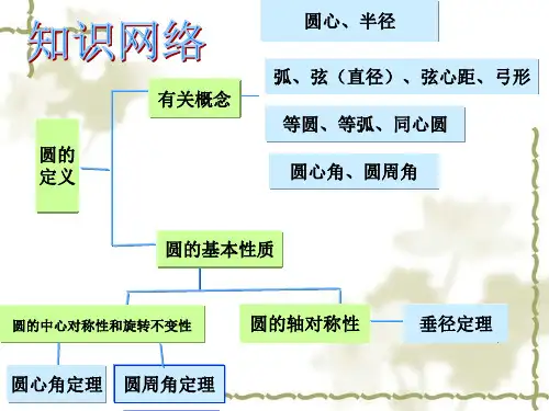 24.2圆的基本性质复习