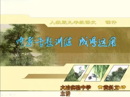 2013年中考语文专题复习--成语运用