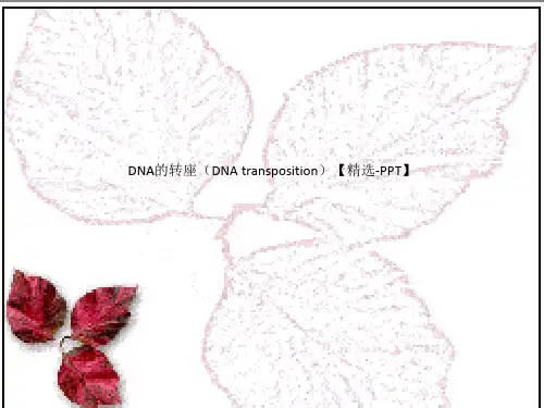 DNA的转座(DNA transposition)【精选-PPT】