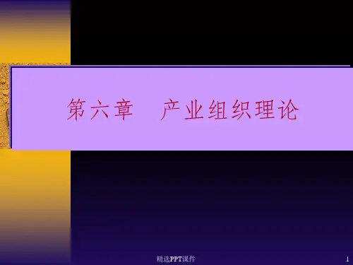 产经第6章产业组织理论ppt课件
