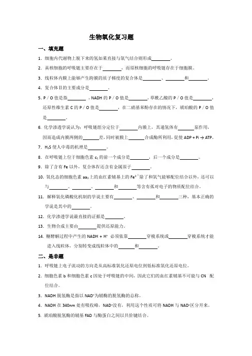 生物氧化复习题2