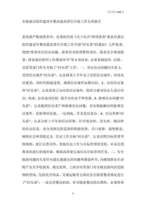 乡镇基层组织建设年整改提高晋位升级工作自查报告