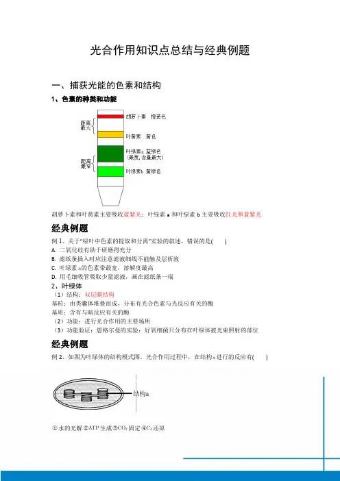 光合作用知识点总结与经典例题