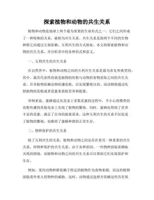 探索植物和动物的共生关系