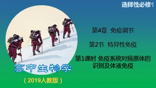 4.2 特异性免疫 第1课时  课件 高二上学期生物人教版选择性必修1