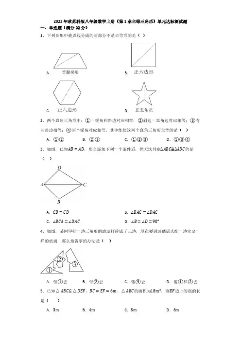 2023-2024学年苏科版八年级数学上册第1章全等三角形 单元达标测试题(含答案)
