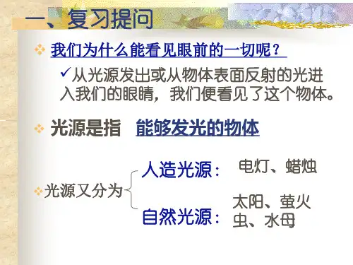 光的反射和折射ppt