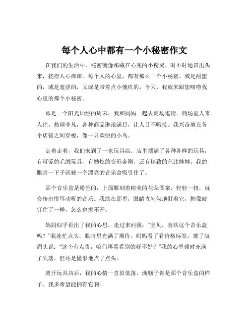 每个人心中都有一个小秘密作文