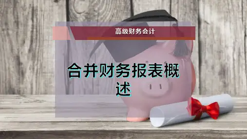 合并财务报表概述