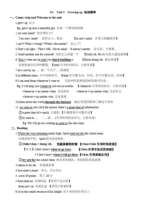 Unit4知识清单(预习复习知识点详解)-牛津译林版九年级英语上册