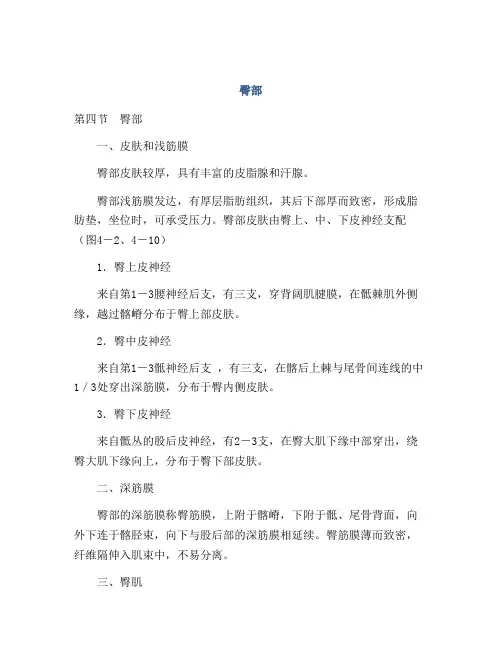 医学知识之臀部