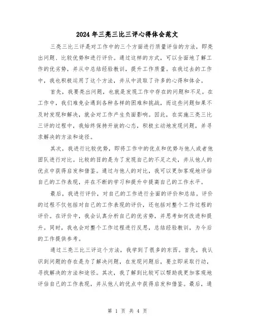 2024年三亮三比三评心得体会范文(2篇)