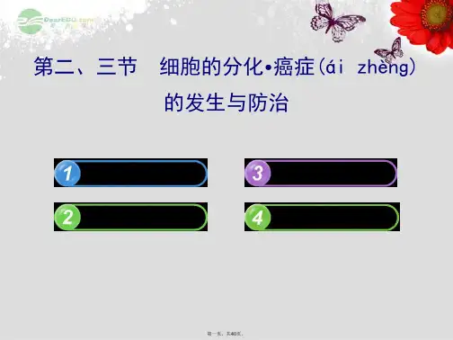 高中生物 1.4.1.2、3细胞的分化 癌症的发生与防治配套课件 中图版必修1
