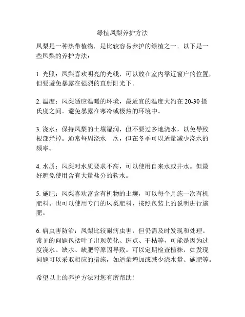 绿植凤梨养护方法