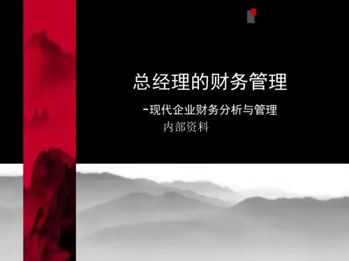 CEO的财务管理 96页PPT文档