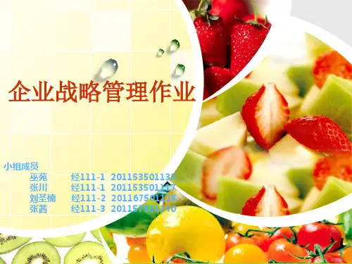 企业战略管理培训课程(PPT 31页)