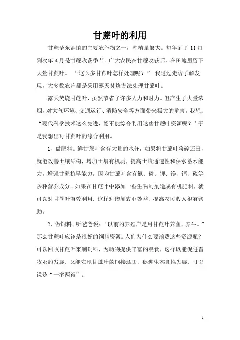 甘蔗叶的利用研究