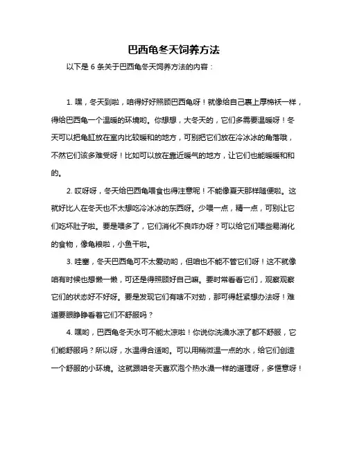 巴西龟冬天饲养方法
