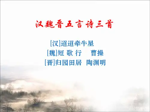高中语文《汉魏晋诗三首》课件