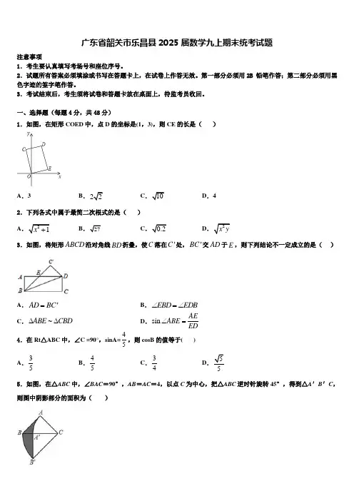 广东省韶关市乐昌县2025届数学九上期末统考试题含解析