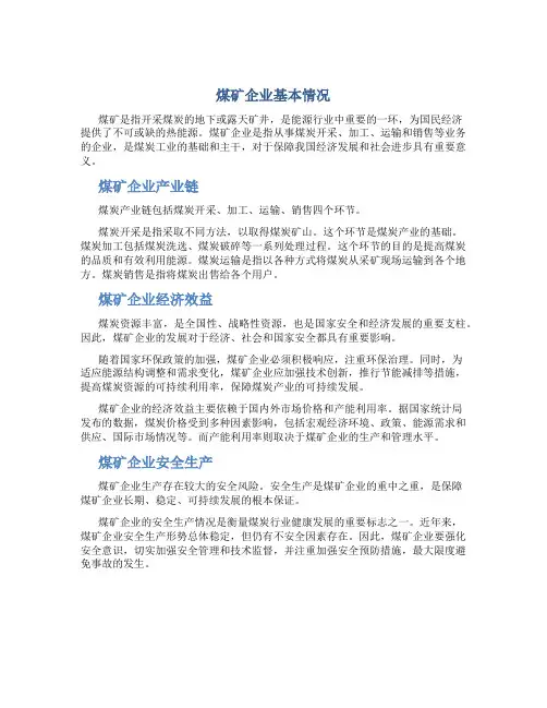 煤矿企业基本情况