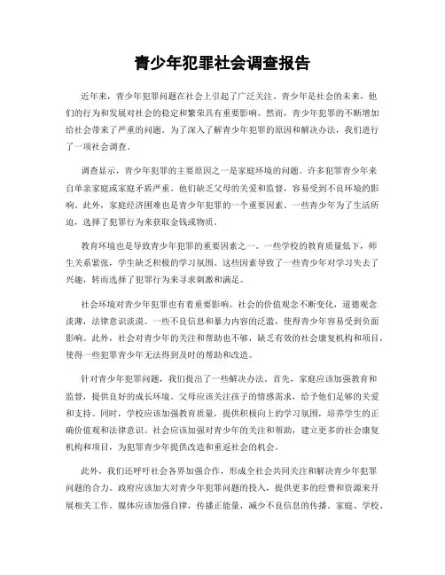 青少年犯罪社会调查报告