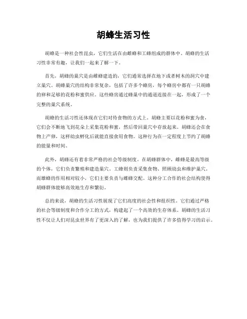 胡蜂生活习性