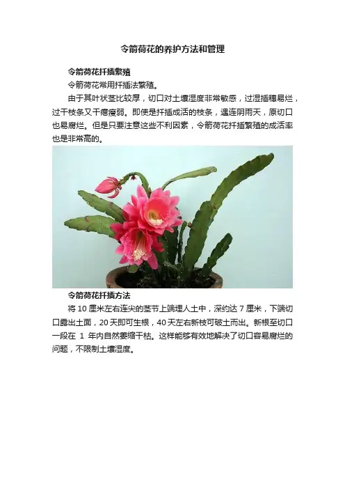 令箭荷花的养护方法和管理
