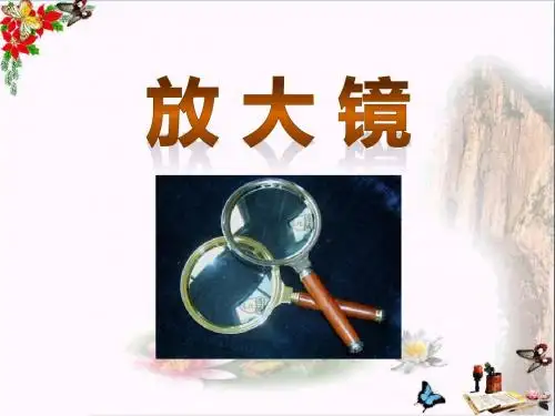 《放大镜》微小世界 精品课件2(共13张)