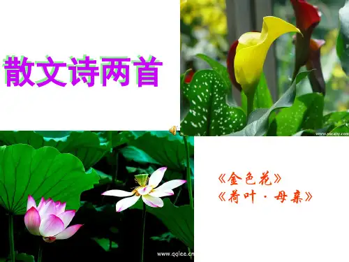 《散文诗两首》PPT课件(七年级上册语文课件)