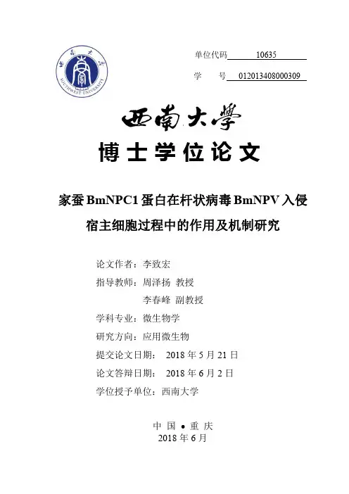 家蚕BmNPC1蛋白在杆状病毒BmNPV入侵宿主细胞过程中的作用及机制研究