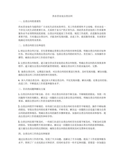 供水营业处自查自纠