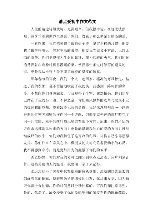 清点爱初中作文范文