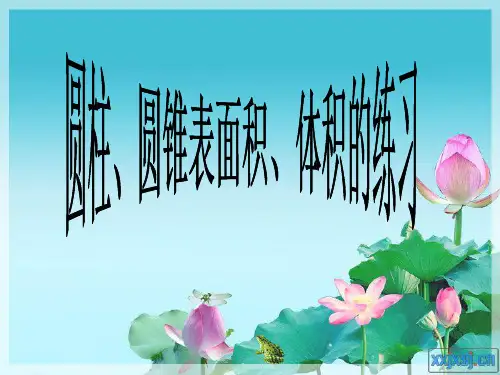 新人教版六下圆柱、圆锥表面积、体积的练习课_课件