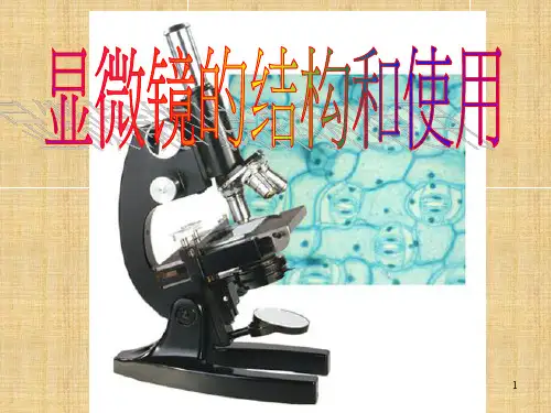 七级生物上显微镜的结构和使用PPT课件
