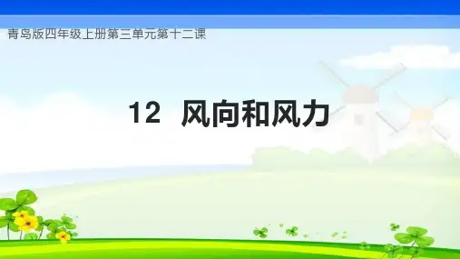 2023-2024学年(青岛版)四年级科学上册《第12课 风向和风力》(教学课件)