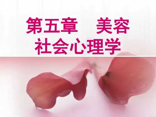 美容心理学第5章 美容社会心理学(上)