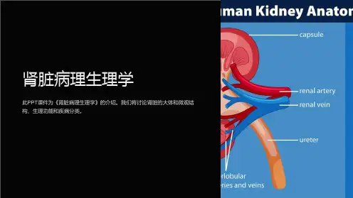 《肾脏病理生理学》课件