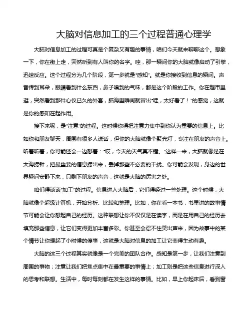大脑对信息加工的三个过程普通心理学