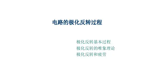 高二物理竞赛课件电路的极化反转过程