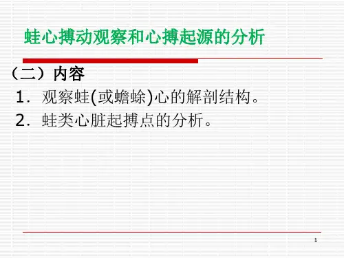 蛙心起搏点分析医学PPT课件