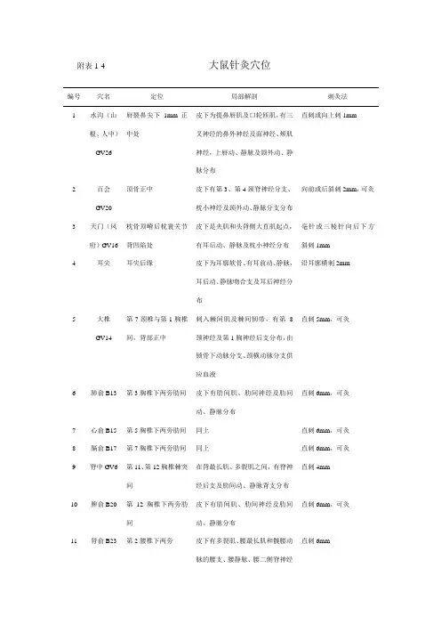大鼠针灸穴位