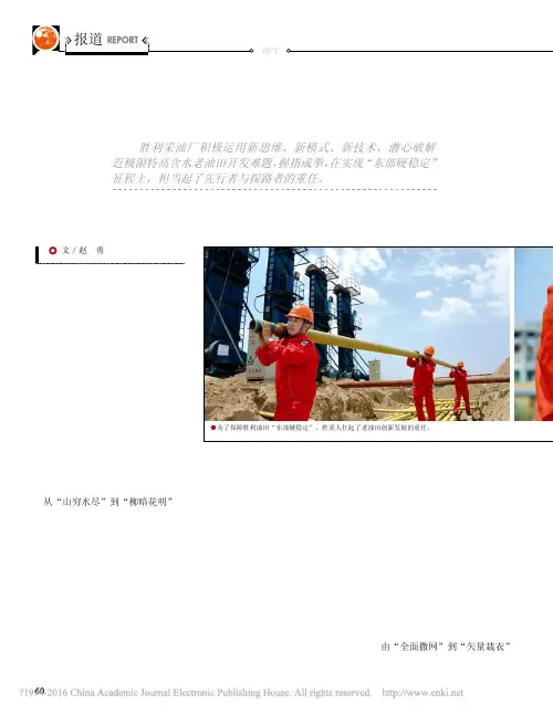 胜采突围_赵勇