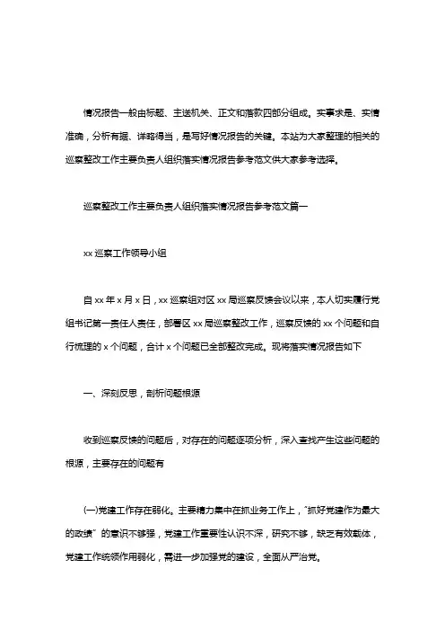 巡察整改工作主要负责人组织落实情况报告参考范文三篇汇总