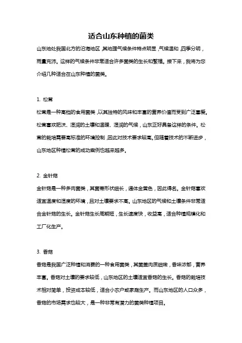 适合山东种植的菌类