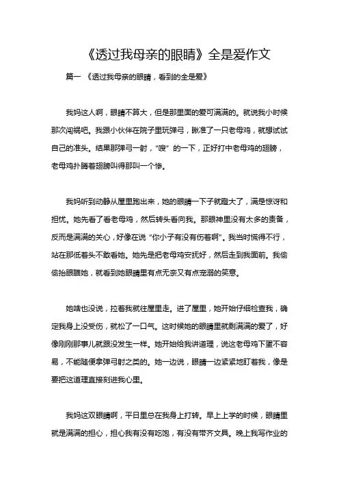 《透过我母亲的眼睛》全是爱作文