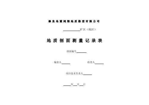 地质记录常用表格